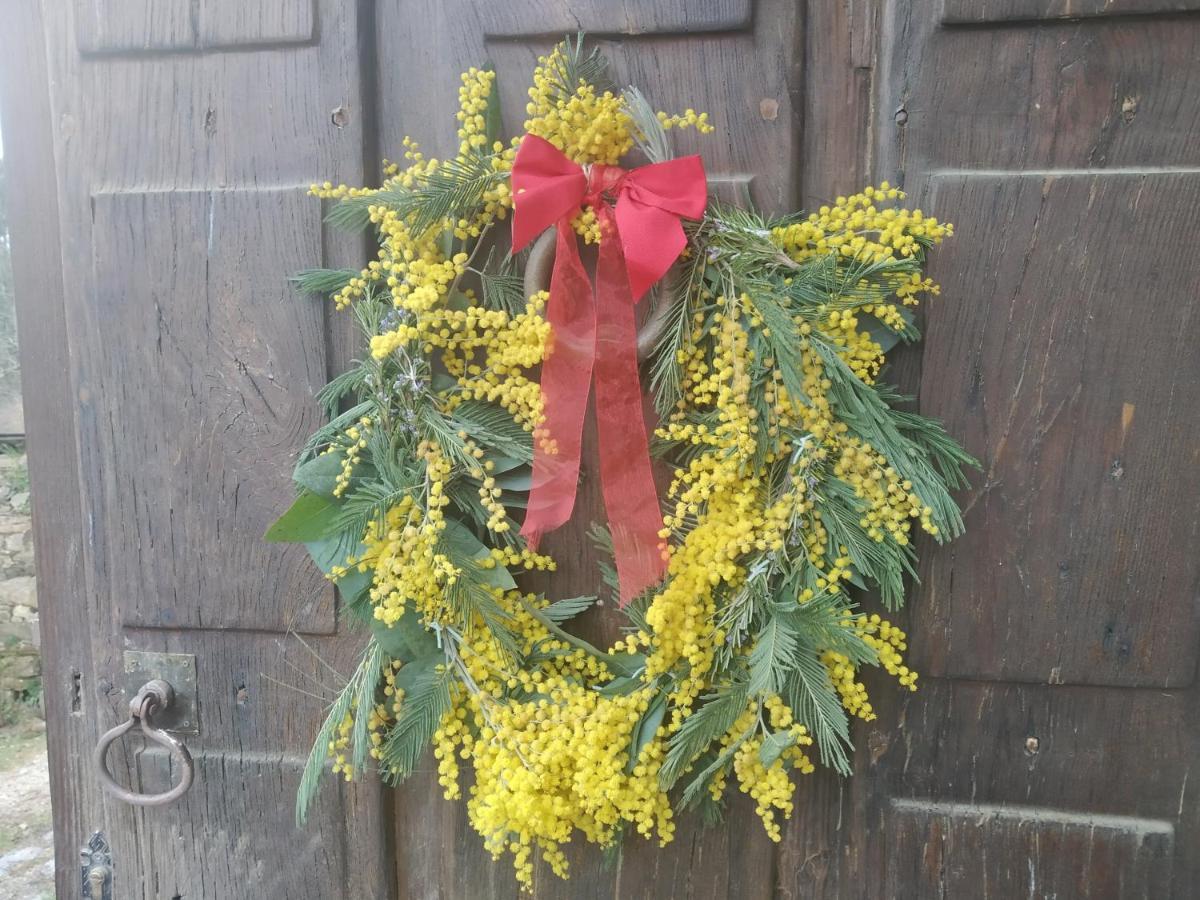 Apartamento Felicitas En La Casa De Cobos, Ribeira Sacra Puebla Del Brollon Bagian luar foto