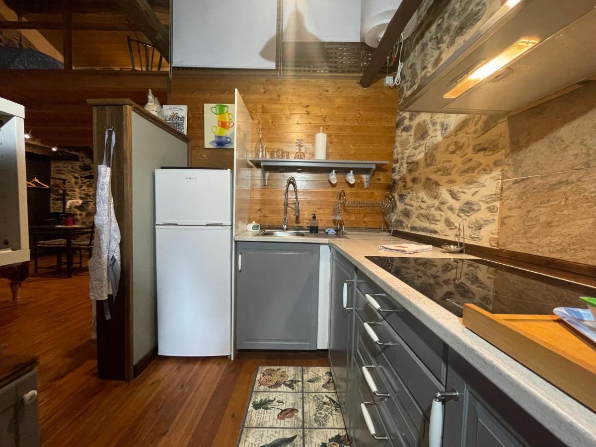 Apartamento Felicitas En La Casa De Cobos, Ribeira Sacra Puebla Del Brollon Bagian luar foto