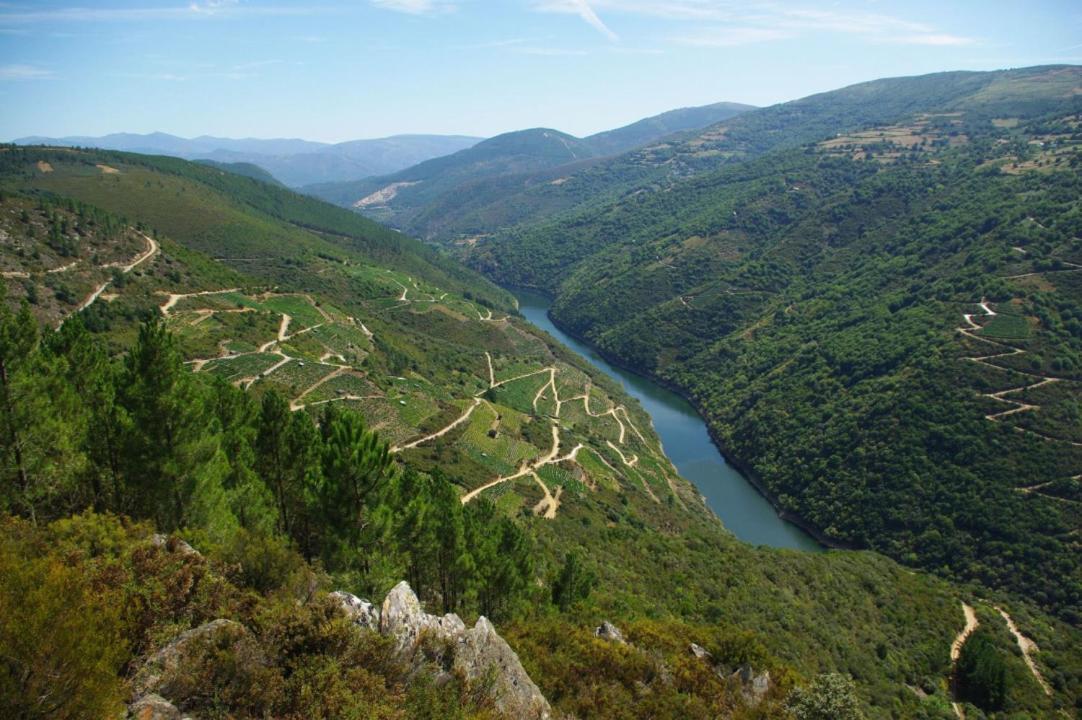 Apartamento Felicitas En La Casa De Cobos, Ribeira Sacra Puebla Del Brollon Bagian luar foto