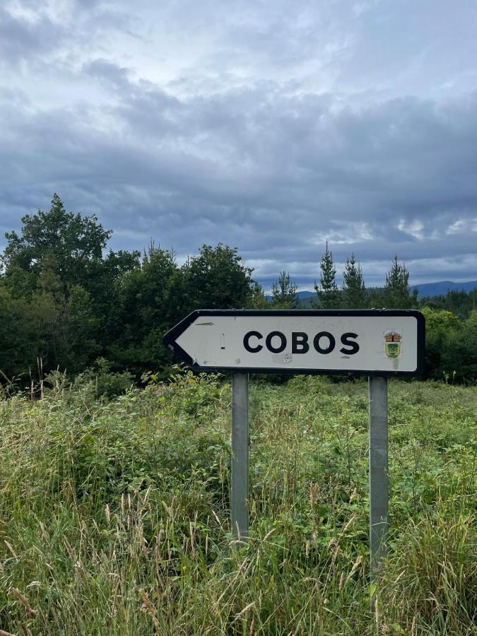 Apartamento Felicitas En La Casa De Cobos, Ribeira Sacra Puebla Del Brollon Bagian luar foto
