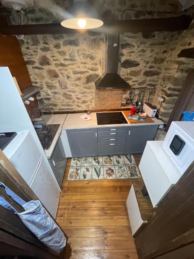 Apartamento Felicitas En La Casa De Cobos, Ribeira Sacra Puebla Del Brollon Bagian luar foto